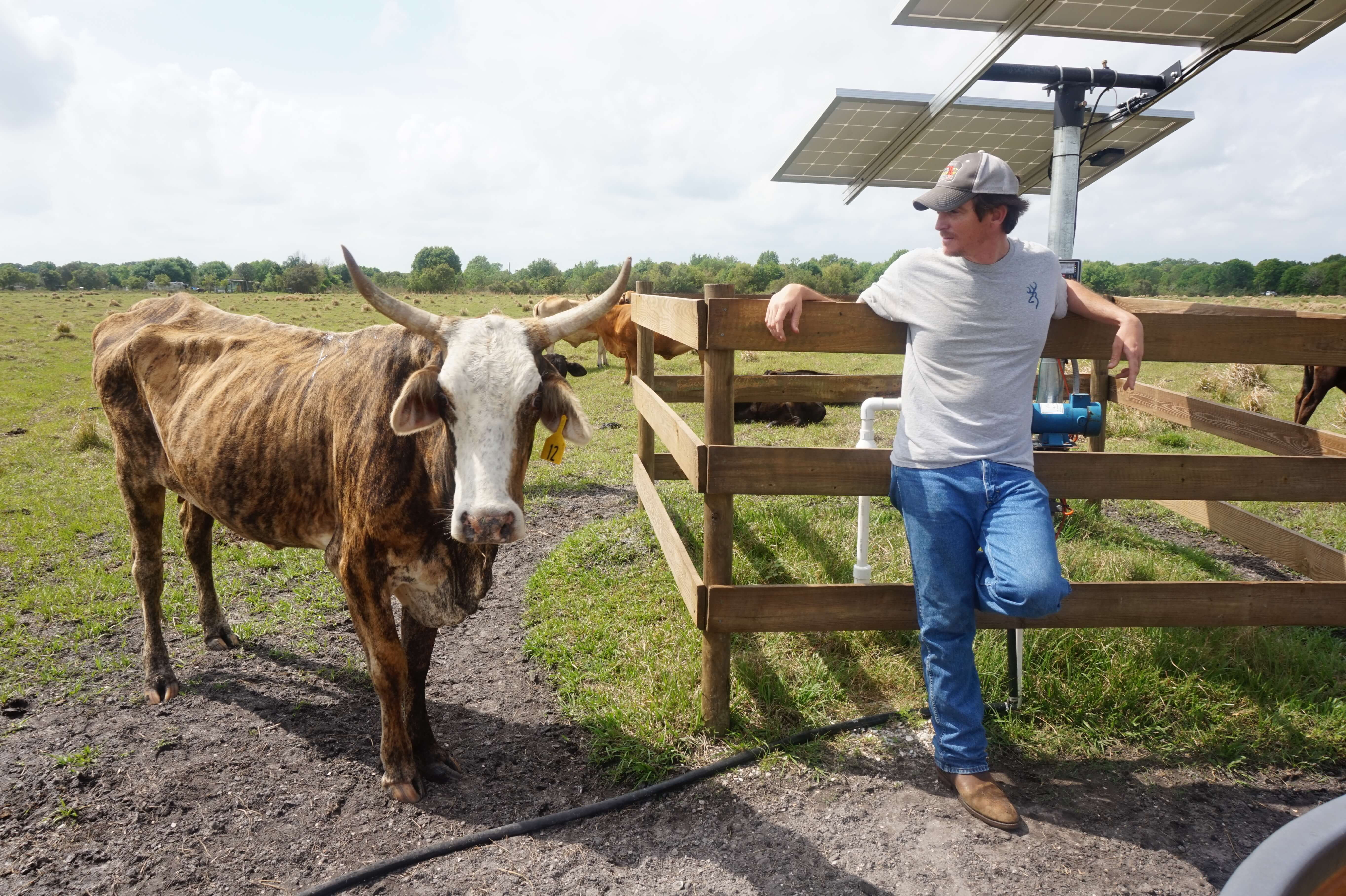 James McWhorter, Highlands Co. Livestock and Forage Extension Agent