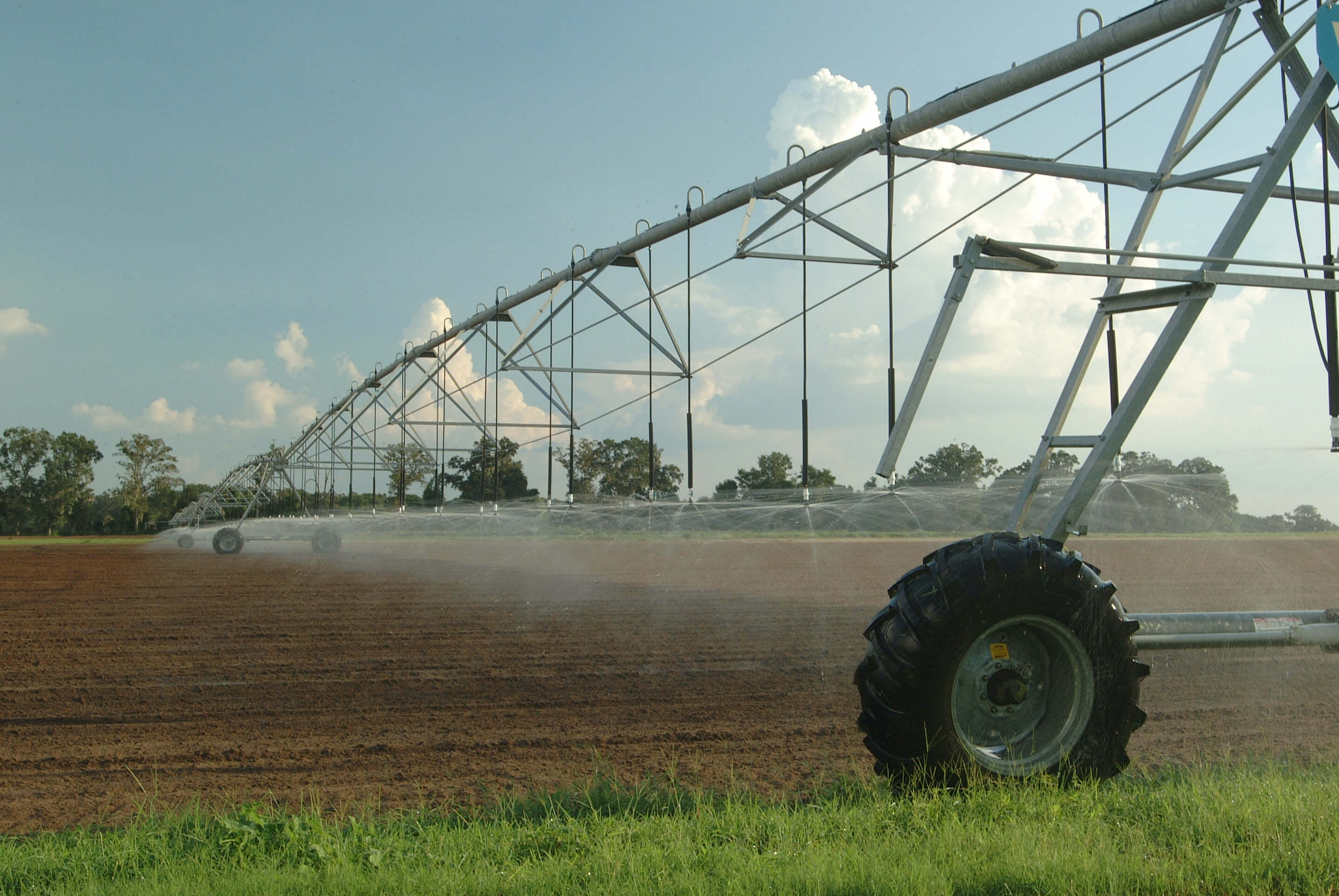 Citra, Pivot irrigation watering fields. UF/IFAS Photo: Josh Wickham